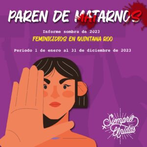 Informe Feminicidios 2024