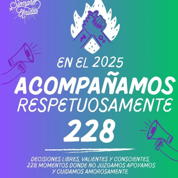 WhatsApp Image 2026-02-12 at 21.14.46